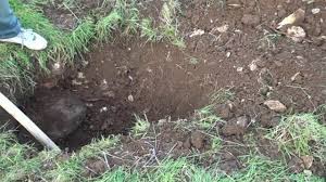 For those who only starts, best cheap metal detector is the one that combined affordable price with decent functionality. Best Gold Metal Detector Mega Scan Pro Germany Origin Youtube