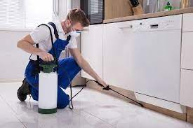 When you call, remember to ask about our military, police, fire and rescue discounts! Pest Control Services In Dubai Infiway Contracting Llc Termite Control Pest Control Pest Control Services