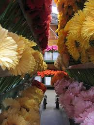 Birmingham is the most populous city in alabama, which features beautiful nature parks such as the oak mountain state park and the birmingham botanical gardens. 5 Great Local Flower Shops In Birmingham And Hoover Alabama Gardening Channel