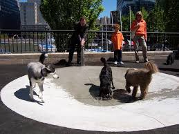 Some park areas allow dogs to be off leash from the time the park opens until 9:00 a.m. 17 Best Dog Parks In New York City