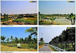 โครงการชั่งหัวมันตามพระราชดำริ ตั้งอยู่ในตำบลเขากระปุก อำเภอท่ายาง จังหวัดเพชรบุรี เกิดขึ้นจากความเอาพระทัยใส่ของ. à¹‚à¸„à¸£à¸‡à¸à¸²à¸£à¸Š à¸‡à¸« à¸§à¸¡ à¸™ à¹€à¸žà¸Šà¸£à¸š à¸£ à¸žà¸£ à¸­à¸¡à¸— à¹€à¸— à¸¢à¸§à¸— à¸ž à¸à¹ƒà¸à¸¥ à¹€à¸„ à¸¢à¸‡