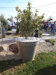 Pot Xxl Exterieur Grande Taille En Beton Prefabrique Lisse Jardin En Beton Pot Jardin Pot De Fleur Exterieur