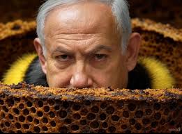 daphne browning (@elofaoua)