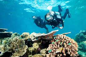 Cairns Scuba Diving Why Dive The Great Barrier Reef