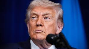 Large snake startles beachgoers as it emerges from the waves