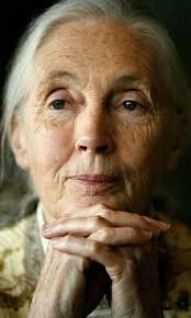 Sometimes we take life for granted.... Shakespeare once said, "I cried when  I had no shoes, But 1 stopped crying when I saw a man without legs...!"  Life is full of blessings,