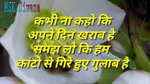 Watch Kya Tumhe Pata Hai Aye Gulshan Mere Dilbar Aane Wale Video Ajay devgn, vivek mushran, pratibha and others. hatkara