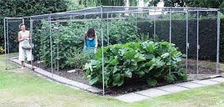 Tomatoes, potatoes, kale and radishes show improved growth when interplanted with nasturtiums. Fruit Cages Vegetable Cages Crop Protection Auckland Nz Fruit Cage Vegetable Garden Garden Netting