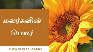 Maybe you would like to learn more about one of these? à®®à®²à®° à®•à®³ Flower Names In Tamil With Pictures Simbhakidstv Youtube