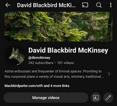 David Blackbird McKinsey