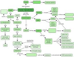 Reproductive Organs Human Reproduction Siyavula