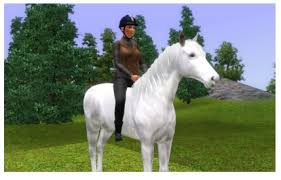 If you really miss horses and you're not opposed to modding, you can download the sims 4 farm life mod. Theninthwavesims The Sims 3 Invisible Horse Accessories For Bareback Riding