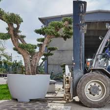 Extra large planters for trees. Megalos Extra Large Pot Planter Container Garden Plants Online