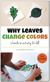 Hands On Activity Showing How Leaves Change Colors In The Fall Autumn Activities For Kids Fall Lessons Fall Preschool
