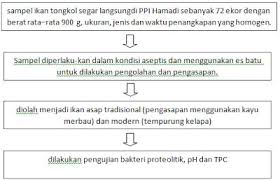 Makalah Kimia Dan Biokimia Hasil Perikanan Metode Pengambilan Sampel Sampling Ama Ra Biokimia Ikan Asap Ikan