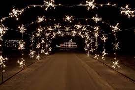 Dazzling Christmas Light Displays To Visit In All 50 States Holiday Lights Display Best Christmas Light Displays Christmas Light Displays