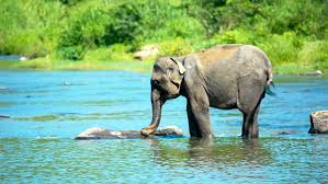 Maybe you would like to learn more about one of these? Shutterstock