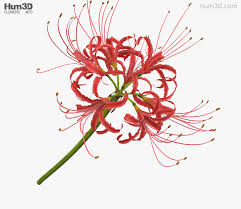 3d Model Of Red Spider Lily In 2020 Red Spider Lily 3d Model Lily