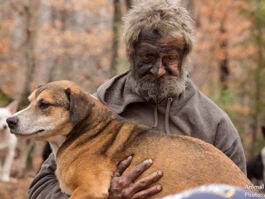 Homeless man surrenders 31 dogs he lived with in TN woods | wbir.com