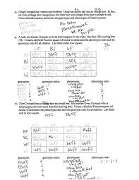 If aabb is crossed with aabb, what proportion of the offspring would be expected to be aabb? Blog Archives Ms Mclarty Classes Dihybrid Crosses Worksheet Oompa Loompa4 Orig Math Grade 1 Printable Personal Living Expenses Monthly Budget Excel Preschool Bird Theme Fluency 1st Calamityjanetheshow