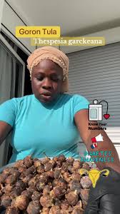 Image result for Thespesia garckeana