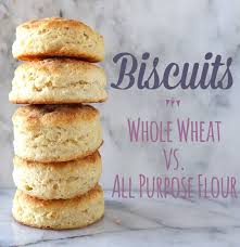 Biscuit Recipe With All Purpose Flour And No Baking Powder How To Make Biscuits A Kitchen Experiment Into How To Make Biscuits Healthier By Comparing An All Pur Biscuit Recipe How To Make Biscuits Whole Wheat Biscuits
