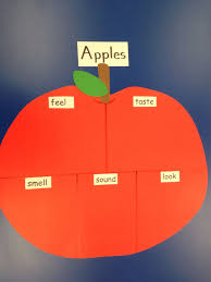Apple Five Senses Chart After Adding Descriptive Words Use The Title Headings And Descriptiv Kindergarten Apple Lessons Senses Preschool Apple Lesson Plans