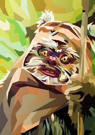 Wicket By Liam Brazier Star Wars Painting Star Wars Artwork Star Wars Poster