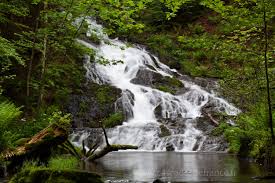 Cascade Retournemer Vosges Les Cascades France