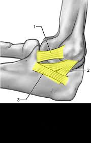 Tommy john surgery typically requires at least a year and sometimes a year and a half of recovery and rehab before players can return to the mound, meaning that players receiving the surgery now as opposed to the end of the summer could possibly return in time for a decent amount of the 2021. Why Tommy John Doesn T Like The Surgery That Bears His Name Regenexx
