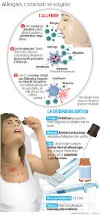 ✓ wie äußert sich eine allergie im körper? Les Allergies Au Pollen De Bouleau On Peut S En Debarrasser Le Parisien