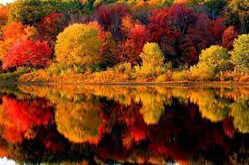 Fall Colors New England Nature Photography New England Fall Scenery
