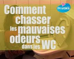 Comment Chasser Les Mauvaises Odeurs Dans Vos Toilettes Afin De Chasser Les Odeurs Desagreables Dans Les Wc Voici Une Astuce P Mauvaise Odeur Odeur Toilettes