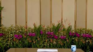 Fun Backgrounds For Your Next Zoom Meeting Surer Get full zoom background (open and save). fun backgrounds for your next zoom
