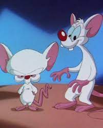Website, both individual episodes and full seasons. Pinky And The Brain Theme Warner Bros Entertainment Wiki Fandom