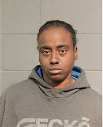 ᐅ Illinois Criminal Records 2009-2025