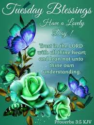 The best gifs of blessing on the gifer website. Collection 180 Tuesday Blessings Images Photos Quotes Gif Pics Quoteslists Com Number One Source For Inspirational Quotes Illustrated Famous Quotes And Most Trending Sayings