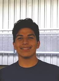 Wildcats all over the world