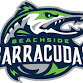 Beachside Barracudas vs Leon Lions event image