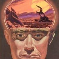 Unequal Protection: The Rise of Corporate Dominance and the Theft of Human  Rights by Thom Hartmann