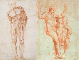 It is designed for art students, who don't have much time for learning. Human Torso Anatomy Anatomy Course For Artists