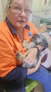 Anthony Cotroneo's Instagram, Twitter & Facebook