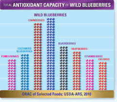 antioxidants wild blueberries benefits of organic food