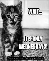 Funny Wednesday Meme Images Pictures And Photos Funny Wednesday Memes Funny Wednesday Quotes Wednesday Memes Happy wednesday quotes wednesday coffee wacky wednesday hump day humor monday thursday wonderful wednesday hump day quotes funny. funny wednesday meme images pictures