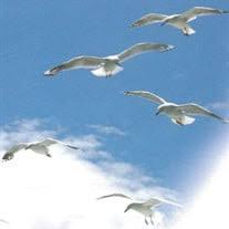 Sandra Kay Smith-Bowyer Obituary January 2, 2017