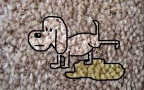 Maybe you would like to learn more about one of these? Regis Carpet Repair Seattle Area Carpet Repair Service