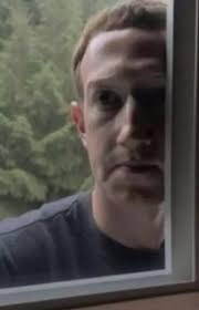 What is this creature lurking outside your window?