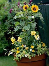36 Container Garden Recipes For A Stunning Display Container Gardening Container Plants Garden Containers