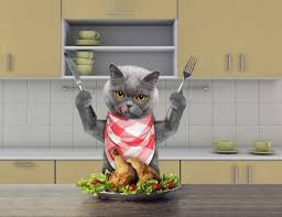 Cat gags when owner eats spicy food. Can Cats Eat Turkey Best Thanksgiving Treat