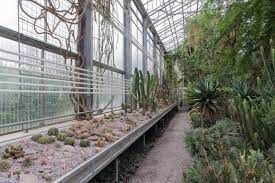 Auch der botanische garten st.gallen beteiligt sich mit veranstaltungen. Wohin St Gallen